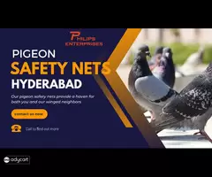 Best Pigeon nets for balcony in Hyderabad