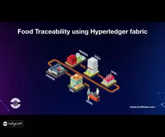 Food Traceability System Based on Hyperledger Fabric