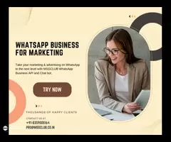 How to choose the best Software for WhatsApp Marketing