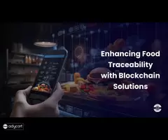 Enhancing Food Traceability with Blockchain Solutions
